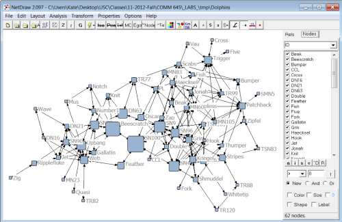 Push Co-occurrence Data to NetDraw