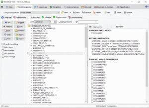 Preview Effect of Wildcards and Dictionary Interactions